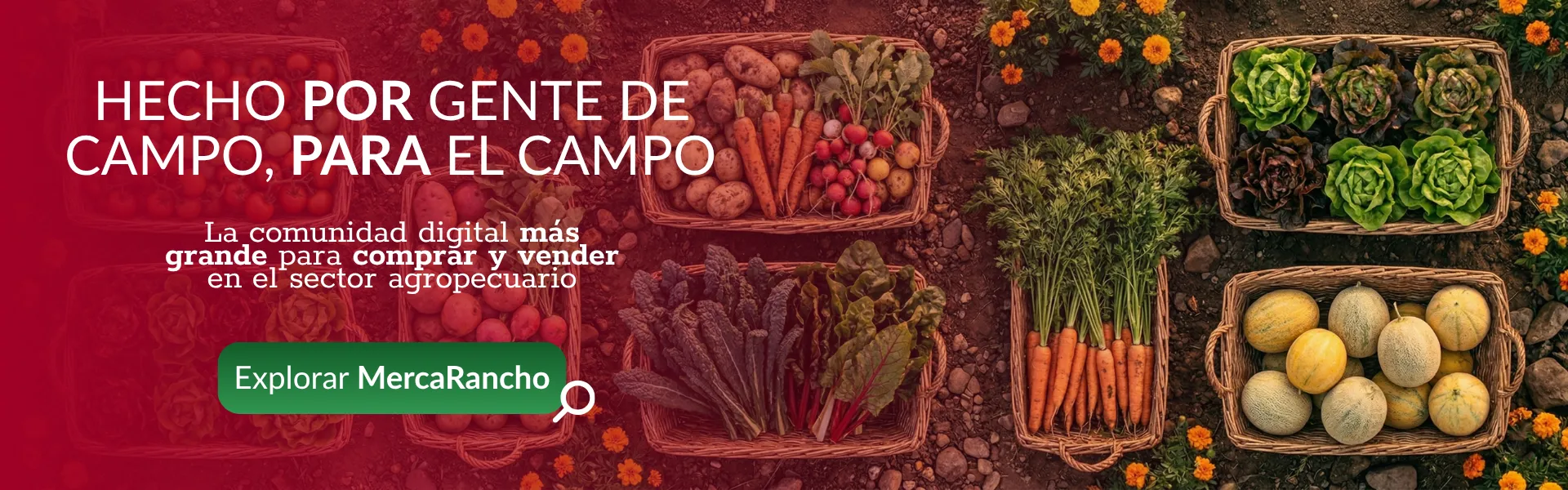 Comunidad digital agropecuaria mercarancho. Hecho por gente de campo para el campo.