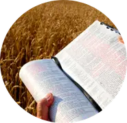 Capacitación del campo